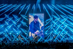 Busted Pigs Can Fly Tour