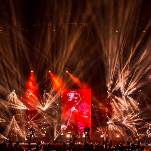 Busted Pigs Can Fly Tour