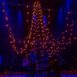Busted Pigs Can Fly Tour