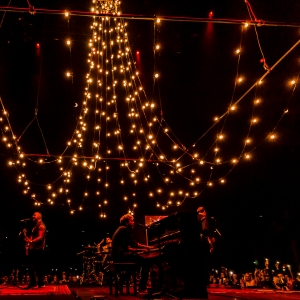 Busted Pigs Can Fly Tour