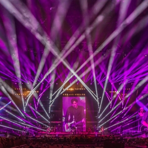 Busted Pigs Can Fly Tour