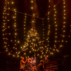Busted Pigs Can Fly Tour